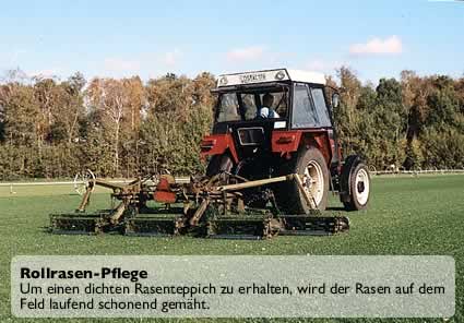 Rollrasen ist vielseitig