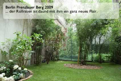 Rollrasen ist vielseitig