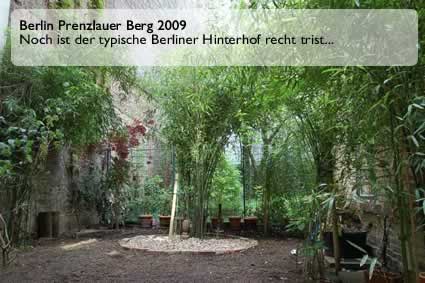 Rollrasen ist vielseitig