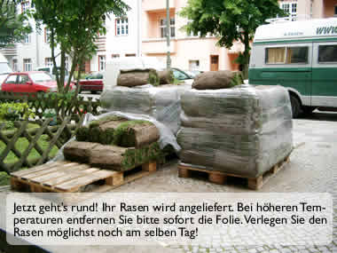 Rollrasen verlegen