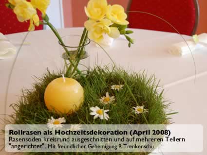 Rollrasen ist vielseitig