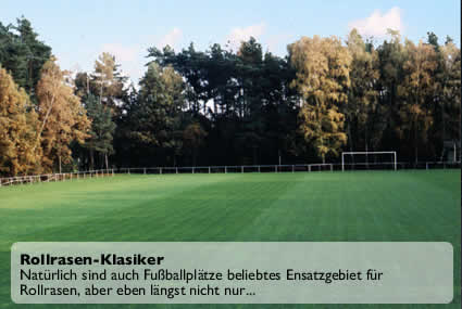 Rollrasen ist vielseitig